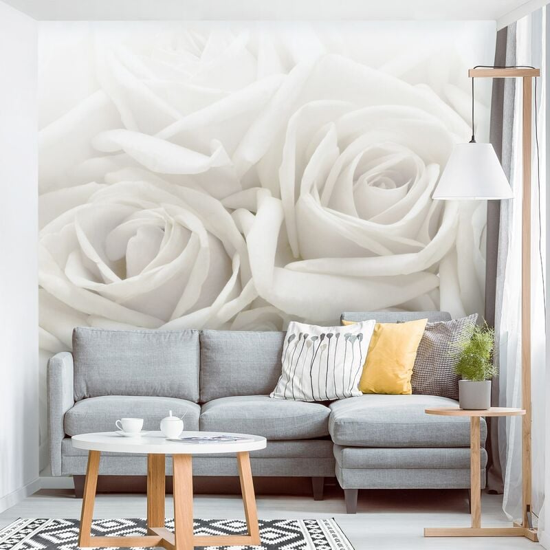

Fotomural - White Roses - Mural cuadrado Dimensión LxA: 288cm x 288cm