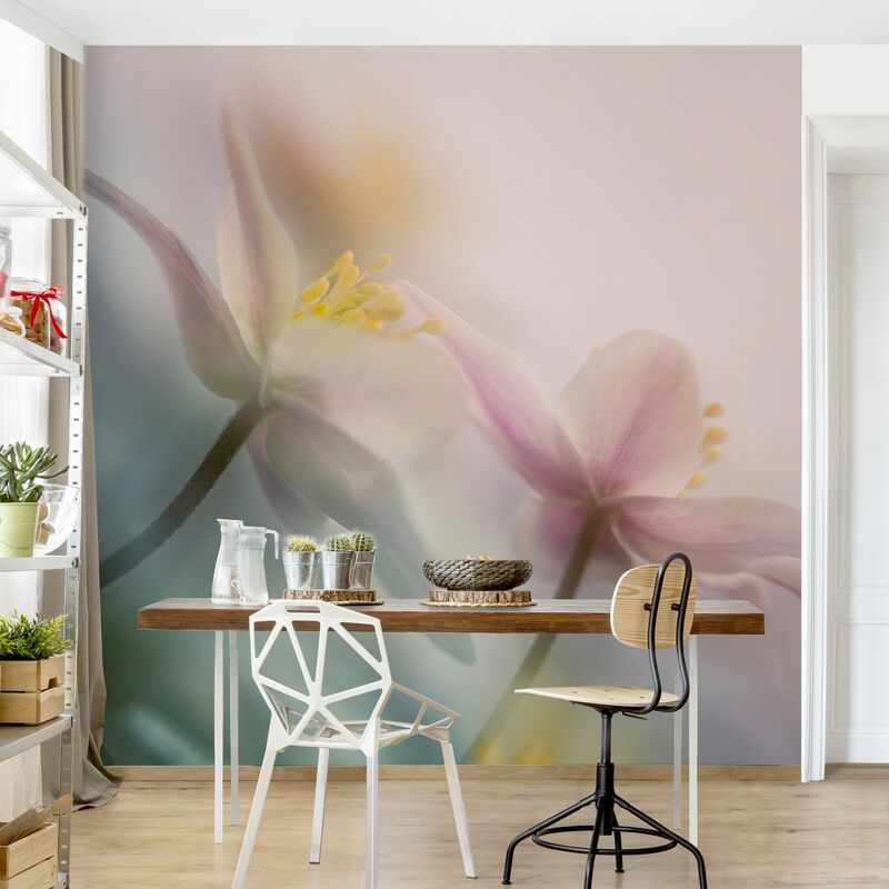 

Fotomural - Windflower - Mural cuadrado Dimensión LxA: 192cm x 192cm