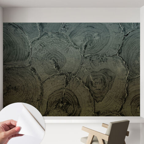 Fotomurale adesivo - Carta da parati adesiva - per la cucina camera da letto per la soggiorno - Anelli di legno 152x104 cm