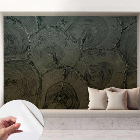 Fotomurale adesivo - Carta da parati adesiva - per la cucina camera da letto per la soggiorno - Anelli di legno 208x146 cm