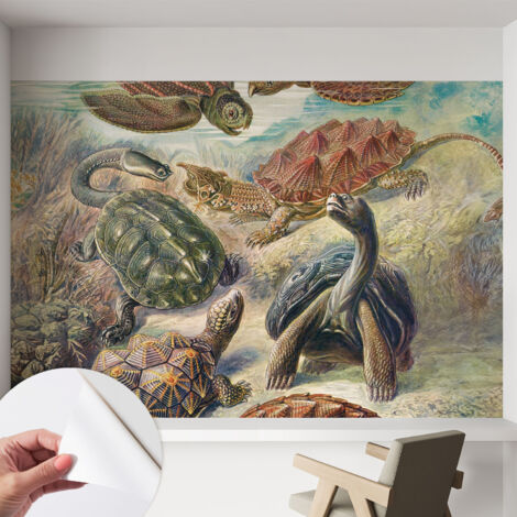 Fotomurale adesivo - Carta da parati adesiva - per la cucina camera da letto per la soggiorno - Fauna delle tartarughe 152x104 cm