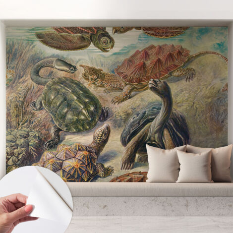 Fotomurale adesivo - Carta da parati adesiva - per la cucina camera da letto per la soggiorno - Fauna delle tartarughe 208x146 cm