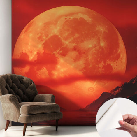 Fotomurale adesivo - Carta da parati adesiva - per la cucina camera da letto per la soggiorno - Fenomeno notturno 250x250 cm