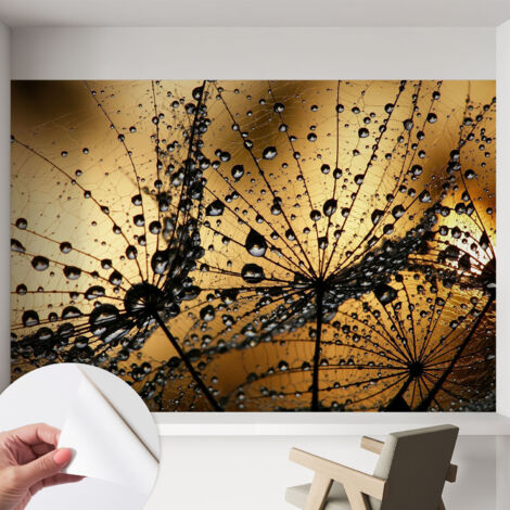 Fotomurale adesivo - Carta da parati adesiva - per la cucina camera da letto per la soggiorno - Gocce delicate 152x104 cm