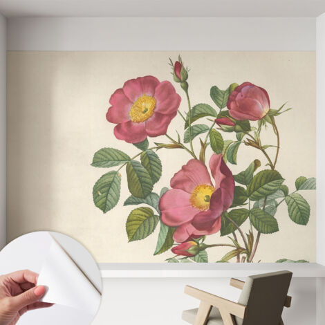 Fotomurale adesivo - Carta da parati adesiva - per la cucina camera da letto per la soggiorno - Motivo di rose 152x104 cm