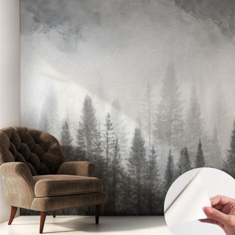 Fotomurale adesivo - Carta da parati adesiva - per la cucina camera da letto per la soggiorno - Nebbia nel bosco 250x250 cm