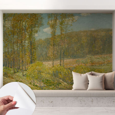 Fotomurale adesivo - Carta da parati adesiva - per la cucina camera da letto per la soggiorno - Paesaggio boschivo 208x146 cm
