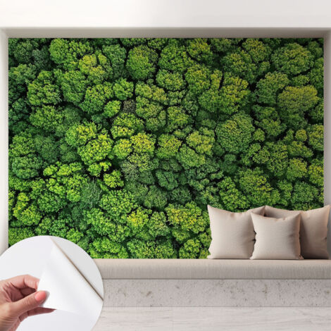 Fotomurale adesivo - Carta da parati adesiva - per la cucina camera da letto per la soggiorno - Panorama boschivo 208x146 cm