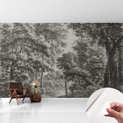 Fotomurale adesivo - Carta da parati adesiva - per la cucina camera da letto per la soggiorno - Scena boschiva 416x254 cm
