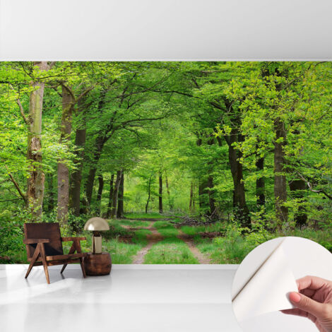Fotomurale adesivo - Carta da parati adesiva - per la cucina camera da letto per la soggiorno - Sentiero nel bosco 416x254 cm