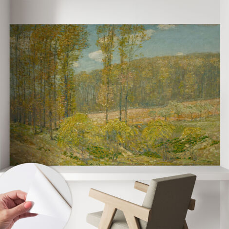 Fotomurale adesivo - murale da parete - Carta da parati autoadesiva - design parete moderno - Paesaggio boschivo 104x70 cm