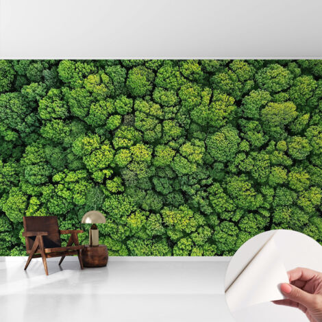 Fotomurale adesivo - murale da parete - Carta da parati autoadesiva - design parete moderno - Panorama boschivo 416x254 cm
