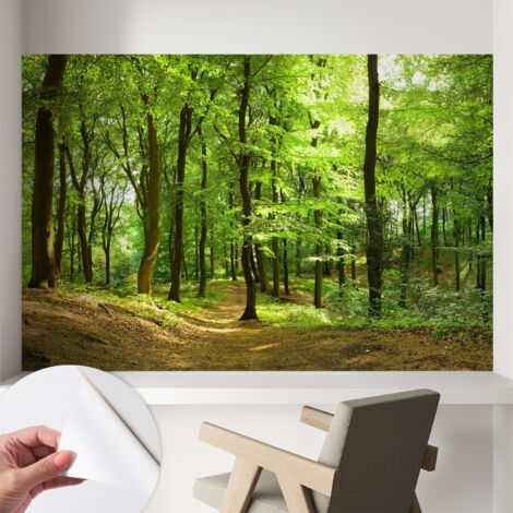 Fotomurale adesivo - murale da parete - Carta da parati autoadesiva - design parete moderno - Sentiero naturale 104x70 cm