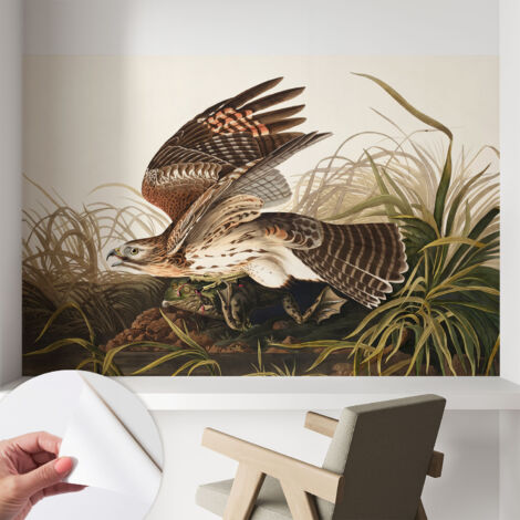 Fotomurale adesivo - parete decorativa - decorazione casa - stile moderno parete - Bellezza alata 104x70 cm