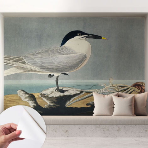 Fotomurale adesivo - parete decorativa - decorazione casa - stile moderno parete - Eleganza ornitologica 208x146 cm