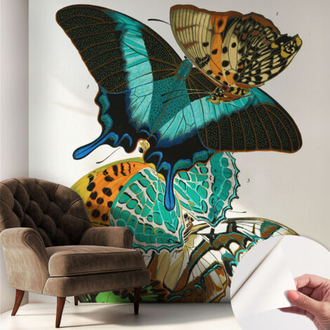 Fotomurale adesivo - parete decorativa - decorazione casa - stile moderno parete - Farfalle colorate 250x250 cm