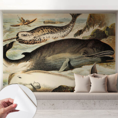 Fotomurale adesivo - parete decorativa - decorazione casa - stile moderno parete - Giganti marini 208x146 cm