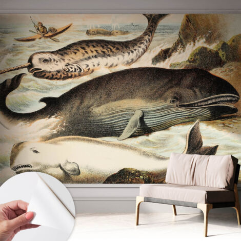 Fotomurale adesivo - parete decorativa - decorazione casa - stile moderno parete - Giganti marini 312x219 cm