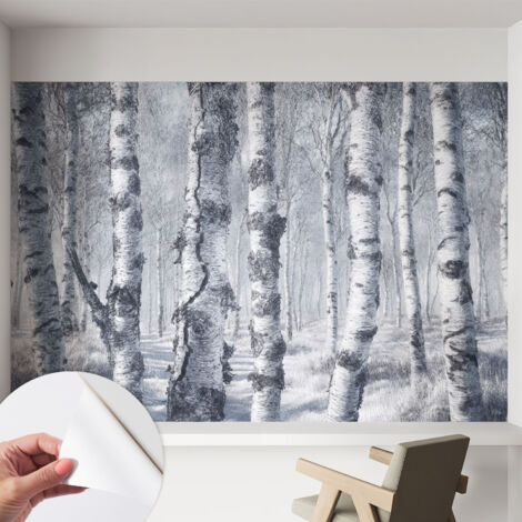 Fotomurale adesivo - parete decorativa - decorazione casa - stile moderno parete - Natura gelida 152x104 cm