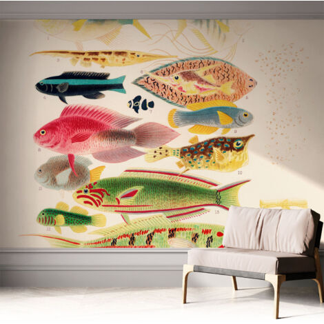 Fotomurale adesivo - parete decorativa - decorazione casa - stile moderno parete - Pesci colorati 312x219 cm