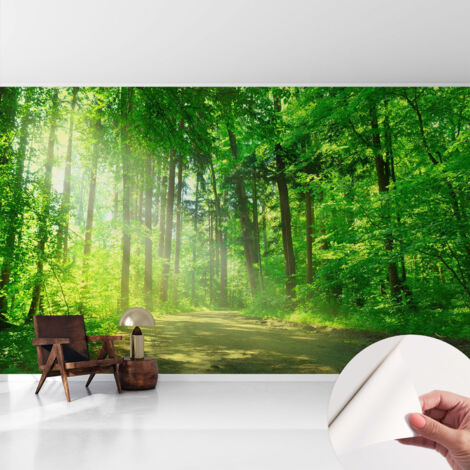 Fotomurale adesivo - parete decorativa - decorazione casa - stile moderno parete - Sentiero nel bosco 416x254 cm