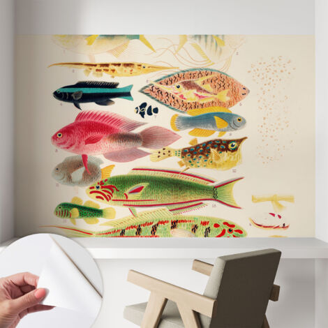 Fotomurale adesivo stickers - murali decorativo - soggiorno moderno - effetto realistico - Pesci colorati 104x70 cm