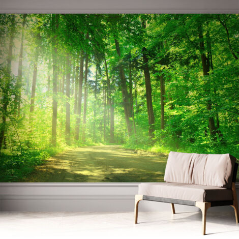 Fotomurale adesivo stickers - murali decorativo - soggiorno moderno - effetto realistico - Sentiero nel bosco 312x219 cm