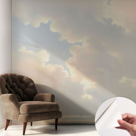 Fotomurale adesivo stickers - per camera da letto - per corridoio - decorazione casa moderna Cielo pastello 250x250 cm