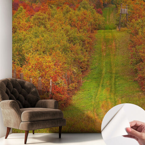 Fotomurale adesivo stickers - per camera da letto - per corridoio - decorazione casa moderna Colori autunnali 250x250 cm