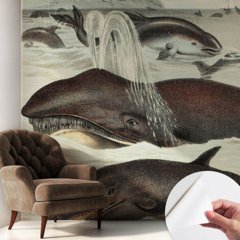 Fotomurale adesivo stickers - per camera da letto - per corridoio - decorazione casa moderna Creature marine 250x250 cm