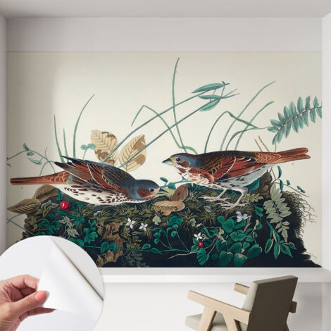 Fotomurale adesivo stickers - per camera da letto - per corridoio - decorazione casa moderna Il fascino della natura 152x104 cm