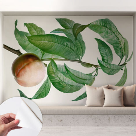 Fotomurale adesivo stickers - per camera da letto - per corridoio - decorazione casa moderna Pesca matura 208x146 cm