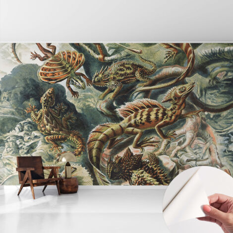 Fotomurale adesivo stickers - per camera da letto - per corridoio - decorazione casa moderna Rettili esotici 416x254 cm