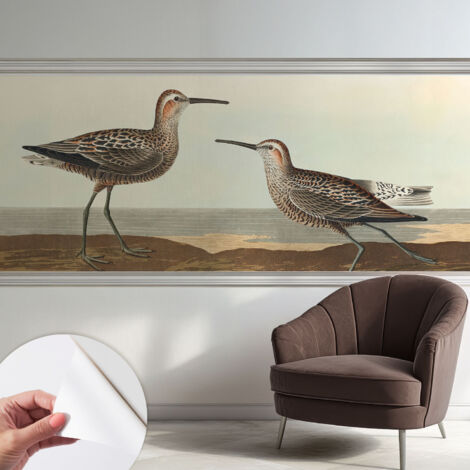 Fotomurale adesivo stickers - per camera da letto - per corridoio - decorazione casa moderna Silhouette di uccelli 250x104 cm