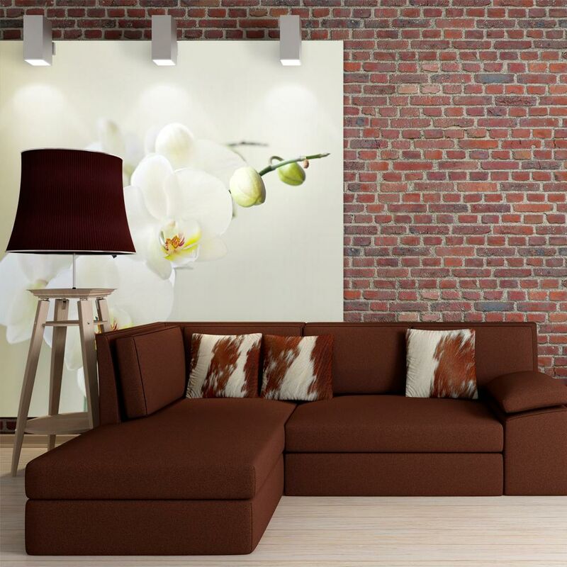 Fotomurale - Bianca Orchidea 400x309cm Carta da