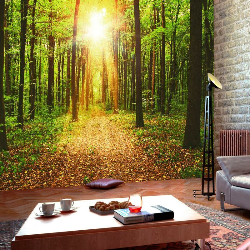 Fotomurale - Mirror Of Nature 400x280cm Carta da
