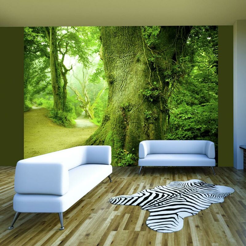 Fotomurale - Sentiero nella Foresta 350x270cm