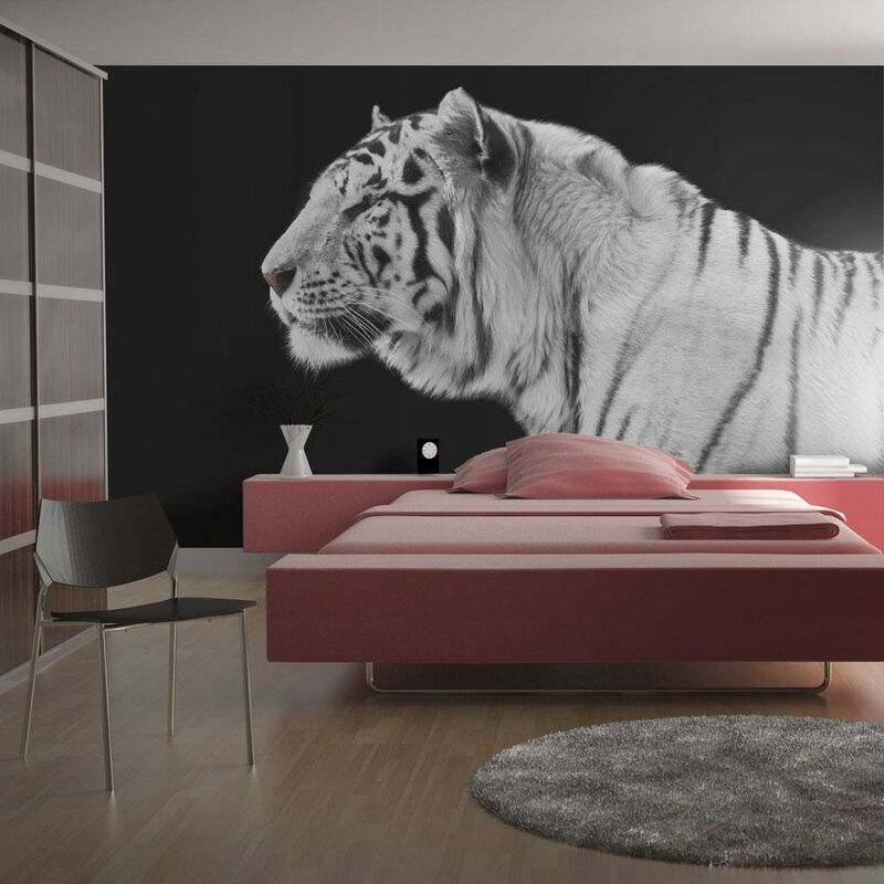 Fotomurale - Tigre Bianca 350x270cm Carta da