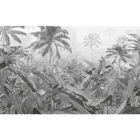 Fototapete Amazonia Schwarz und Weiß 400x250 cm Komar - Mehrfarbig