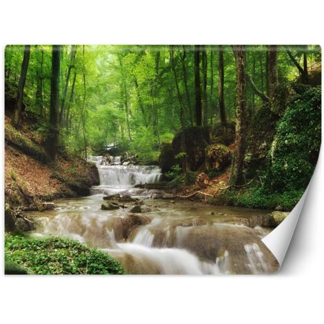Fototapete, Bergbach Wald Natur – 150x105
