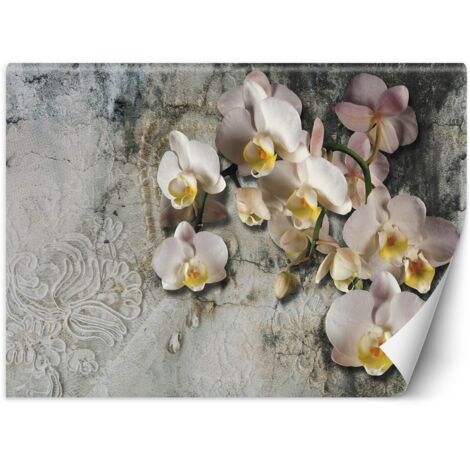 Fototapete Blühende Orchidee Blumen Mauer 100x70 cm
