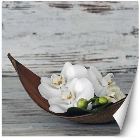Fototapete Blumen Orchidee Zen Spa Vintage 100x100 cm