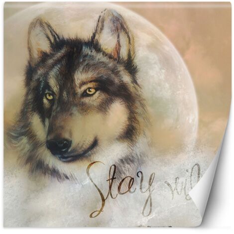 Fototapete Brauner Wolf Vintage 100x100 cm