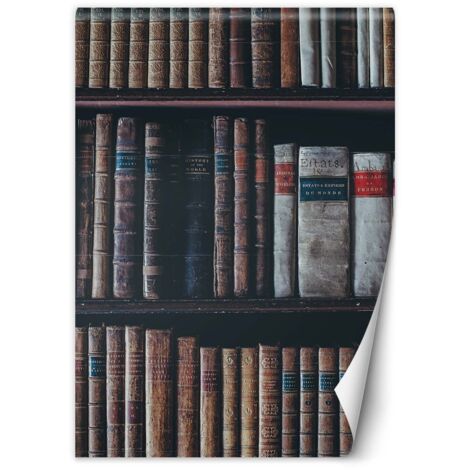 Fototapete Bücherregal 100x140 cm