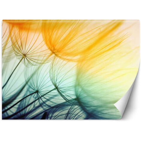 Fototapete Bunte Pusteblume Abstrakt 100x70 cm
