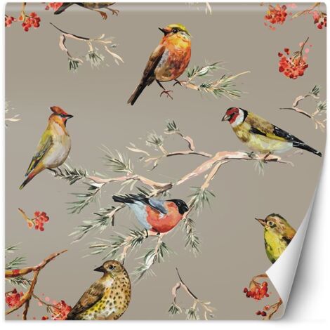 Fototapete, Bunte Vögel - 100x100