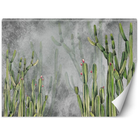Fototapete Caktus Blumen Pflanzen Betonwand 100x70 cm