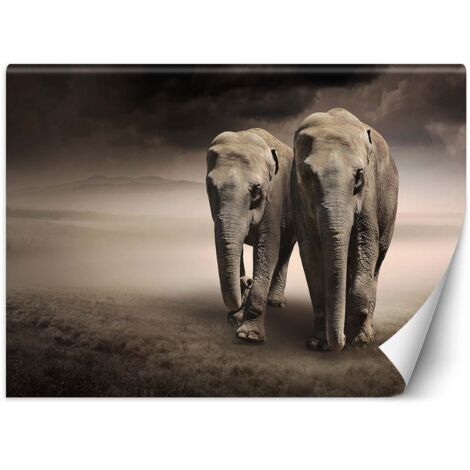 Fototapete Elefanten Paar Tiere 100x70 cm