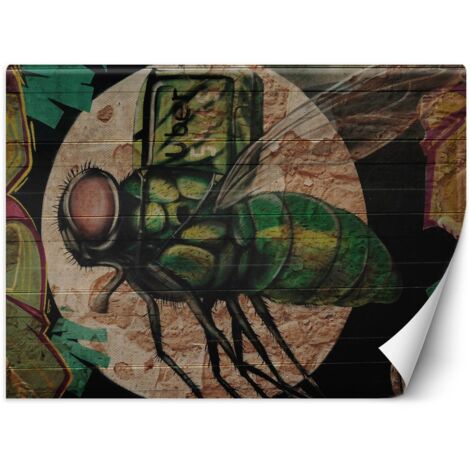 Fototapete Fliege und Mond Graffiti  100x70 cm
