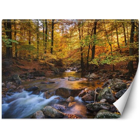 Fototapete, Gebirgsbach im Wald - 150x105